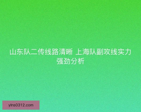 山东队二传线路清晰 上海队副攻线实力强劲分析 山东队二传线路清晰 上海队副攻线实力强劲分析